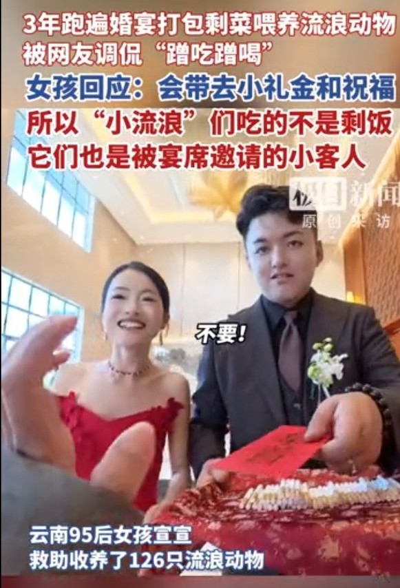 女孩回應打包婚宴剩菜喂養流浪貓:善意傳遞溫暖的力量